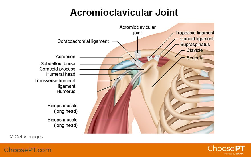 Guide | Therapy to Acromioclavicular Joint Injuries | Choose PT