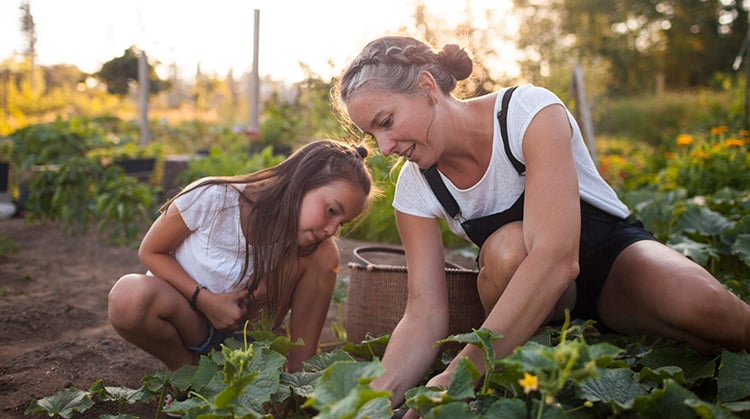 Mother and daughter planting flowers in their garden.