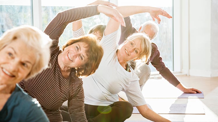 Older adults doing Yoga exercises.